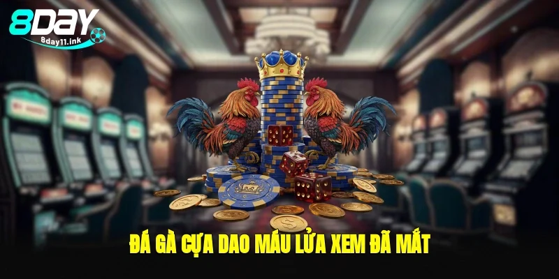 Đá gà cựa dao máu lửa xem đã mắt