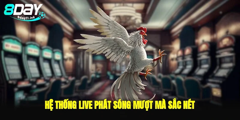 Hệ thống live phát sóng mượt mà sắc nét