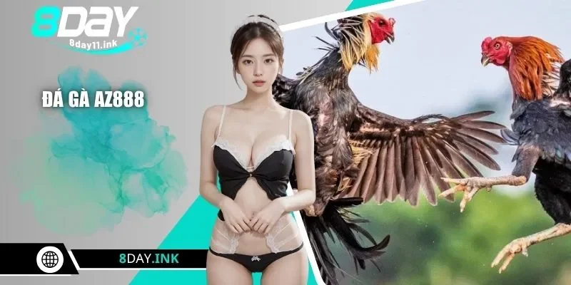 Đá gà AZ888